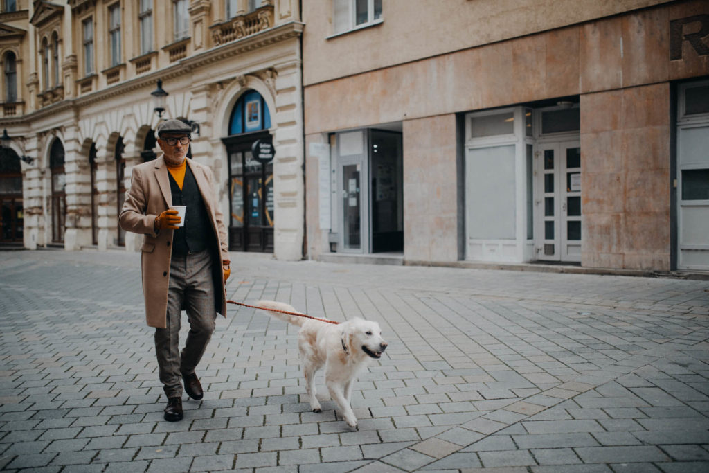 Gdzie na spacer z psem w Krakowie? Poradnik